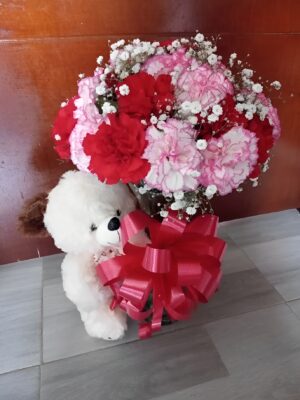 Claveles por 24 y peluche R69