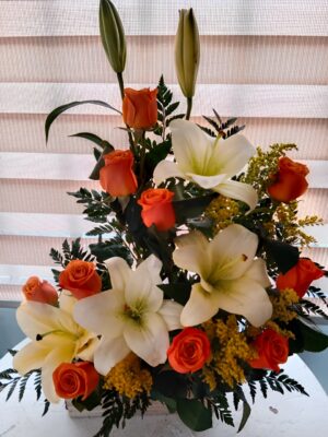 Lirios de Otoño R33